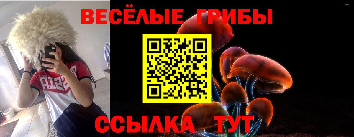закладки  Галлюциногенные грибы прущие грибы  Вход с VPN  Галлюциногенные грибы Psilocybine cubensis  Киселёвск 